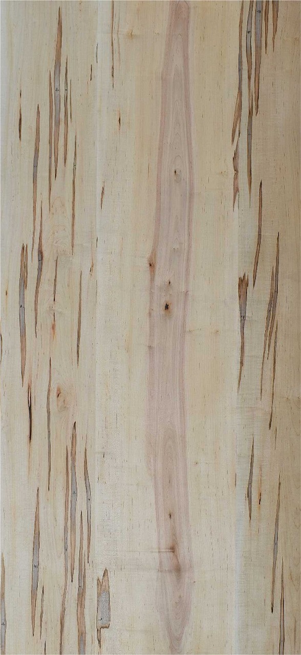 ウォーミーメープル